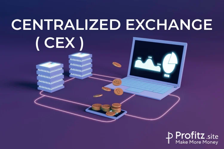 Centralized Exchange CEX